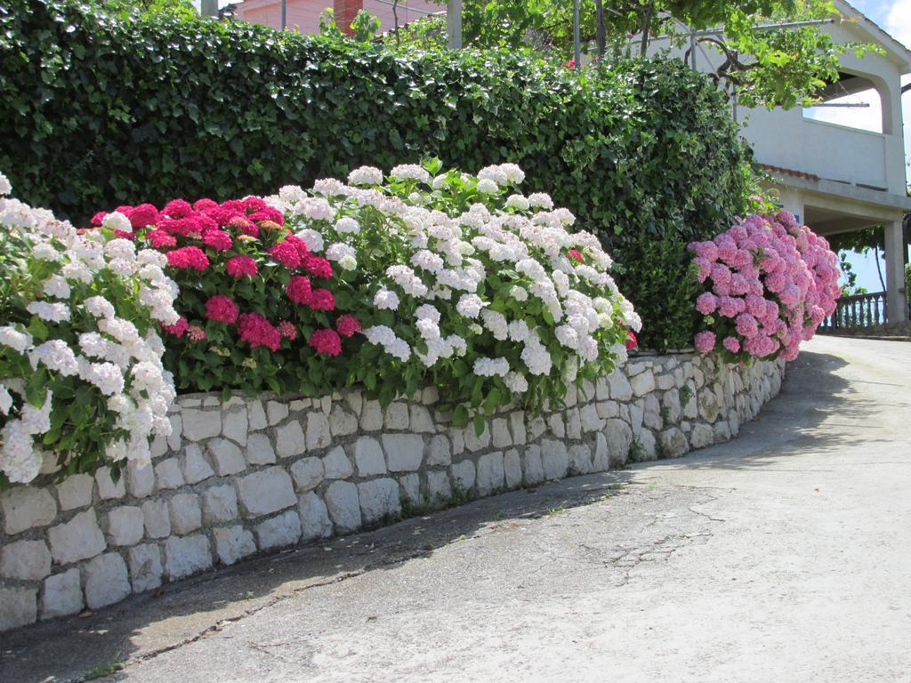 Apartmani Roza Lopar Exterior foto